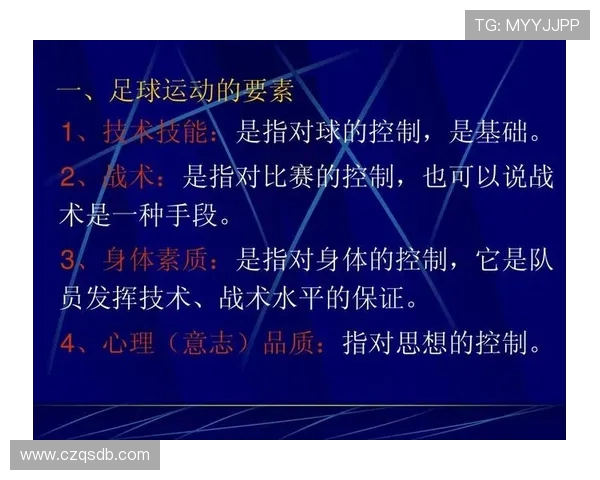 杭州足球队整体压制战术分析与成效评估探讨